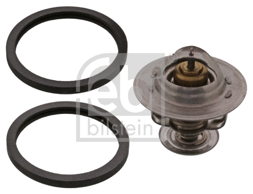 Thermostat, coolant (11491)