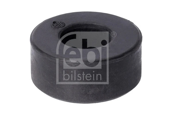 Mounting, control/trailing arm