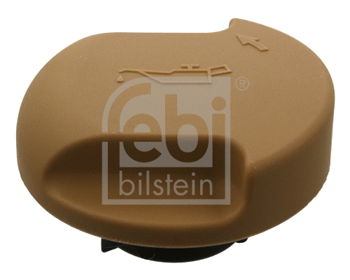Sealing Cap, oil filler neck (19491)