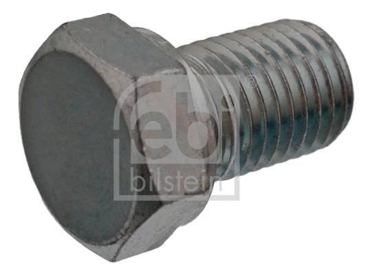 Screw Plug, oil sump (48893)