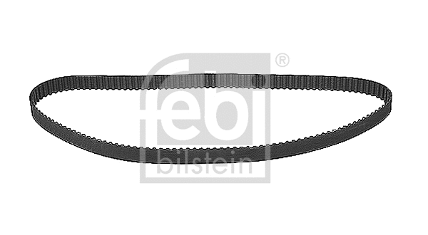 Timing Belt (19572)