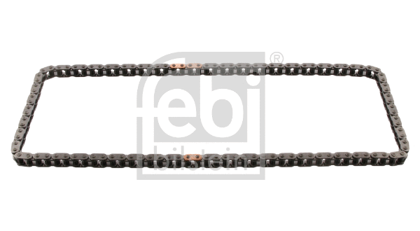 Timing Chain (31803)