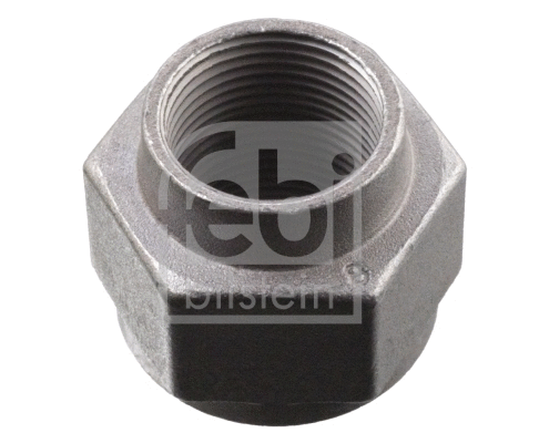 Nut, stub axle (18195)