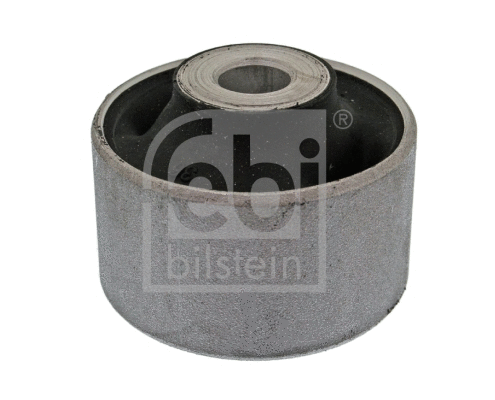 Mounting, control/trailing arm (10019)