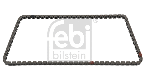 Timing Chain (49768)