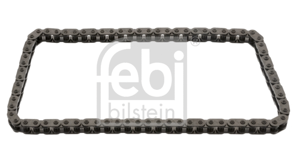 Timing Chain (25383)