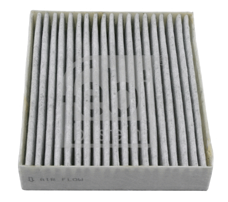 Filter, cabin air (22441)