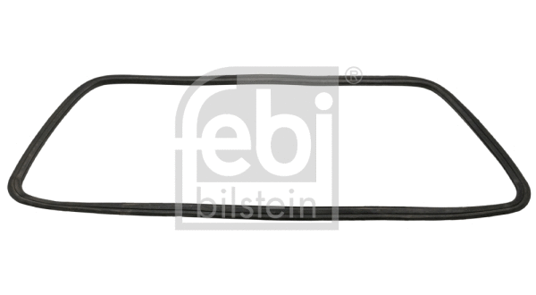 Seal, rear window (08893)