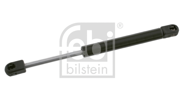 Gas Spring, boot/cargo area (17589)