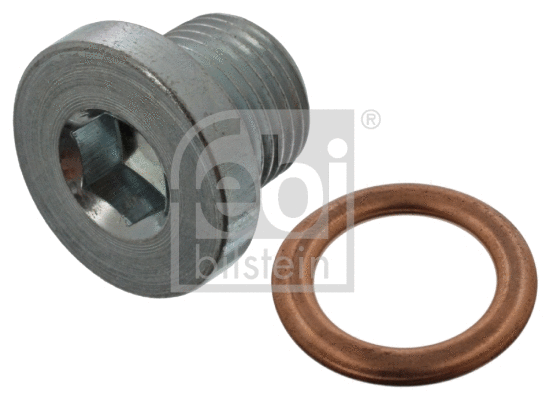 Screw Plug, oil sump (45618)