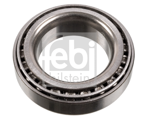 Wheel Bearing (173925)