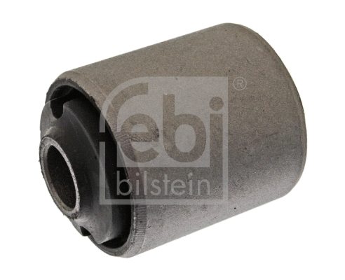 Mounting, control/trailing arm (10304)