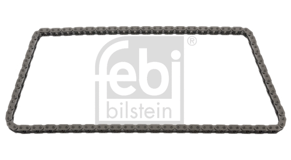 Timing Chain (49494)