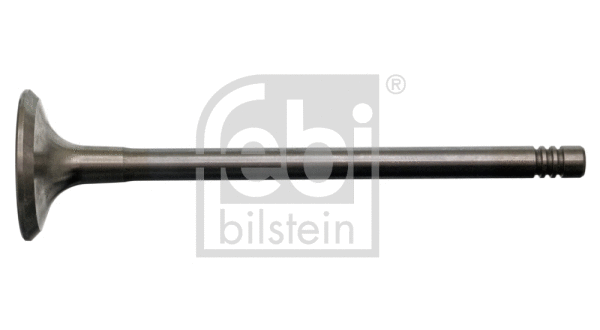Exhaust Valve (17389)
