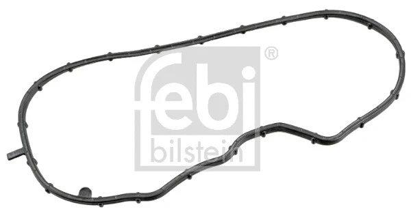 Gasket, timing case (180636)