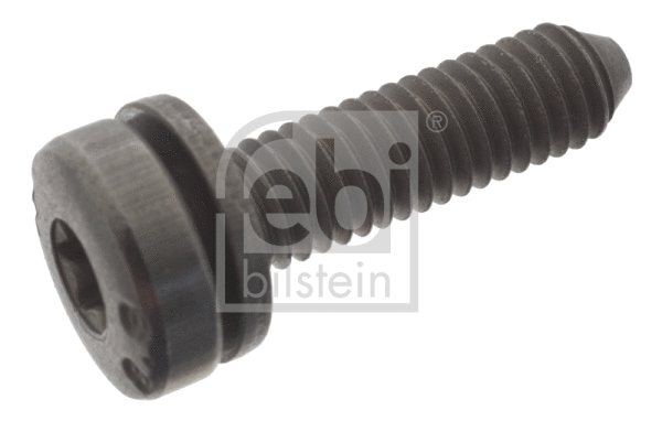 Screw Plug, transmission housing (49401)