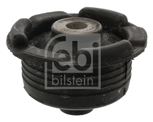 Bushing, axle beam (02047)
