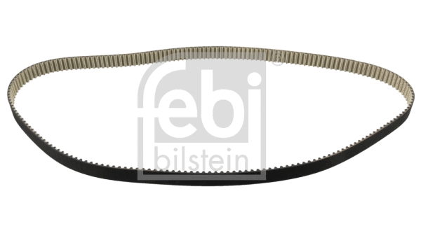 Timing Belt (101047)
