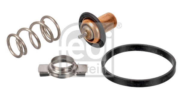 Thermostat, coolant (173111)