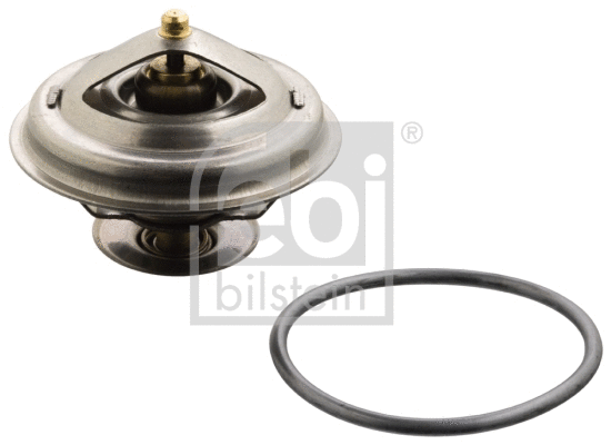 Thermostat, coolant (18272)