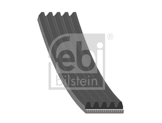 V-Ribbed Belt (175844)