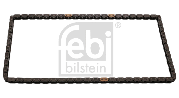 Timing Chain (48286)