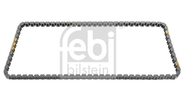 Timing Chain (48285)