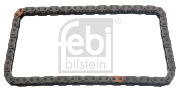 Timing Chain (48570)