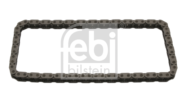 Timing Chain (39474)