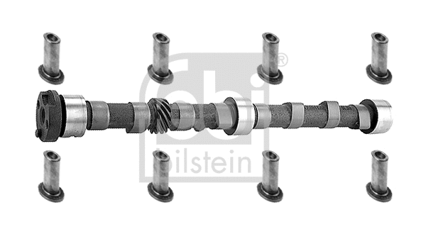 Camshaft Kit (19678)