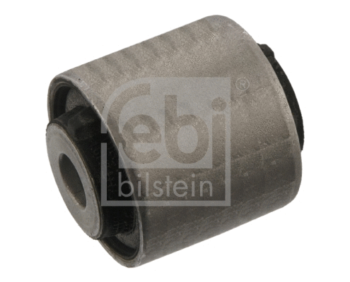 Mounting, control/trailing arm (40973)