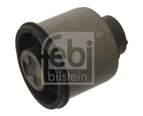 Bushing, axle beam (31547)