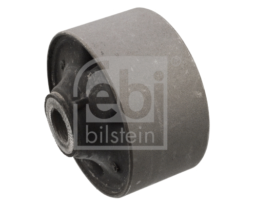 Mounting, control/trailing arm (101933)