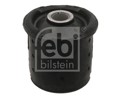 Bushing, axle beam (01691)