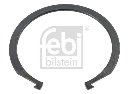 Circlip (173722)