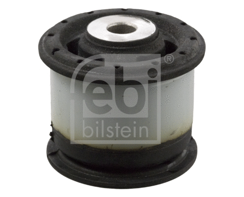 Bushing, axle beam (17618)