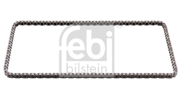 Timing Chain (105796)