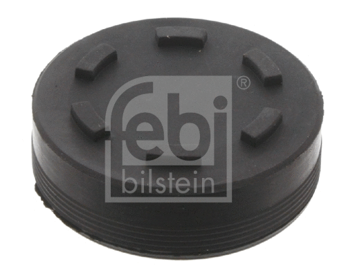 Locking Cover, camshaft (32255)