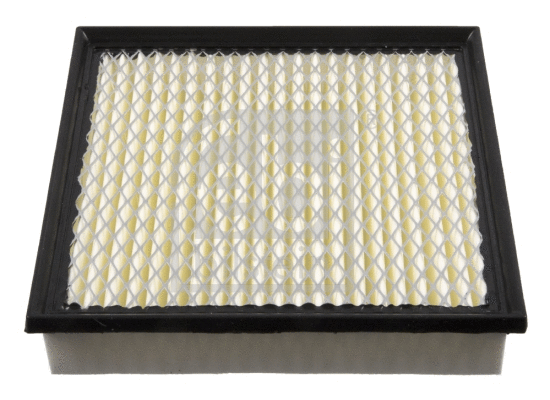 Air Filter (49655)