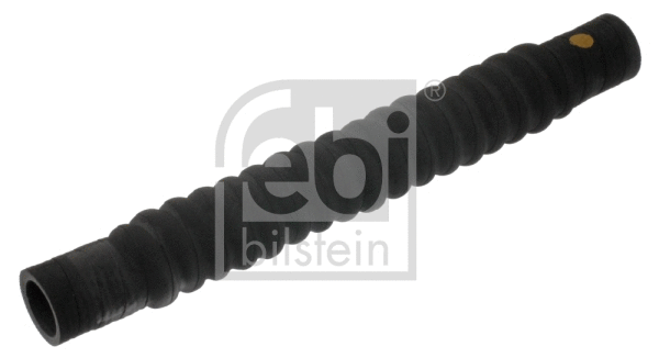 Radiator Hose (17156)