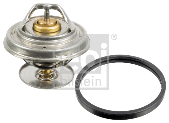 Thermostat, coolant (175176)