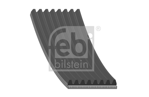 V-Ribbed Belt (29061)