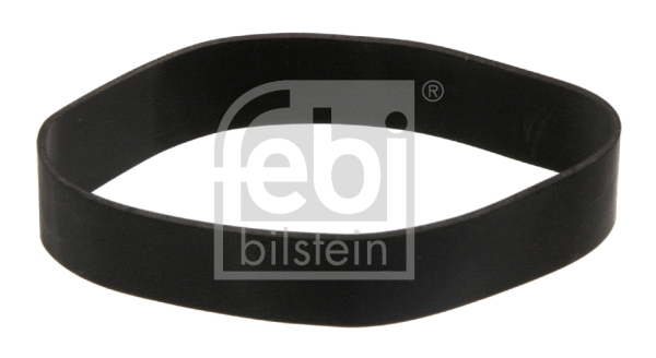 Seal Ring, steering knuckle (40938)