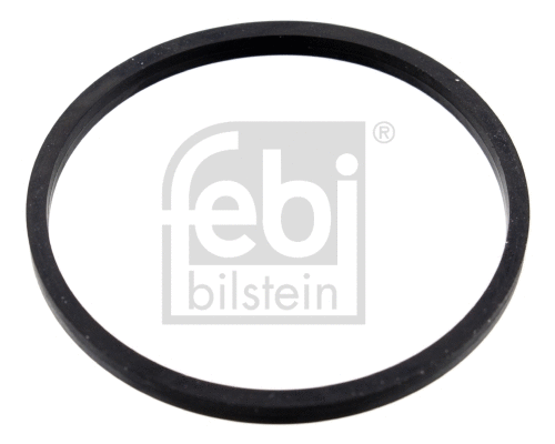 Seal, thermostat (100055)
