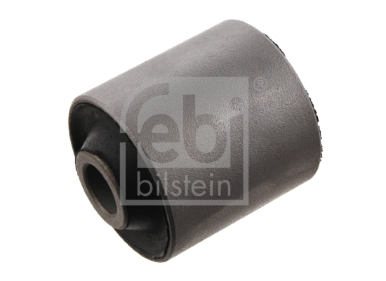 Mounting, control/trailing arm (34203)