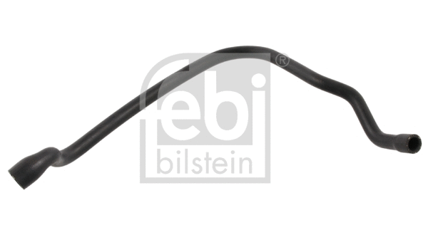 Radiator Hose (37132)