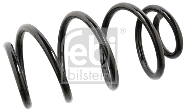 Suspension Spring (104708)
