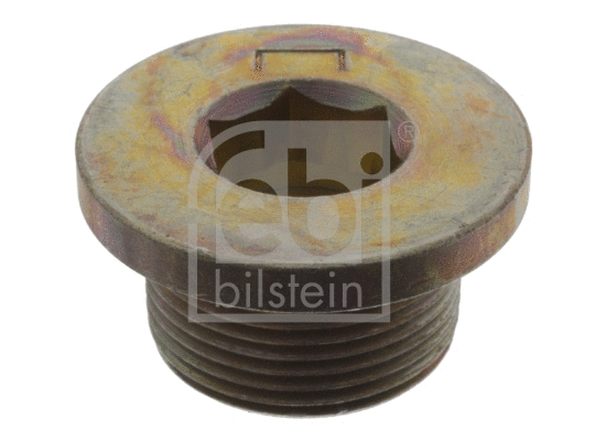 Screw Plug, oil sump (06630)