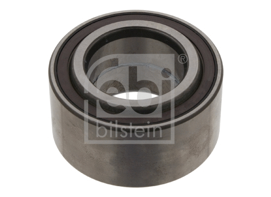 Wheel Bearing (31062)
