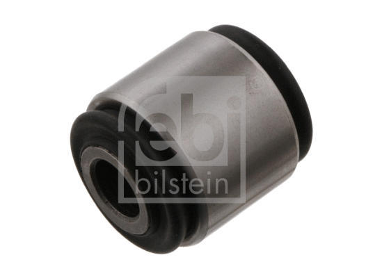 Mounting, control/trailing arm (34761)